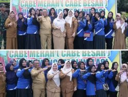 Pj Bupati Bersama Kelompok Tani Mulya Berkah Tanam Cabe Besar Perdana