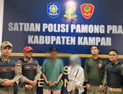 Asyik Berduaan di Kebun Sawit, Pasangan Sejoli Diamankan Tim Patroli Satpol PP Kampar