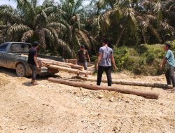 Satgas TMMD ke121 Kodim 0313/KPR Lakukan Pengupasan Badan Jalan dan Pemasangan Cerocok Box Culvert