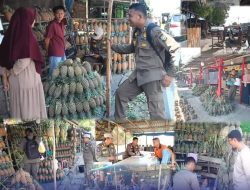 Bahayakan Bagi Pengguna Jalan, Pedagang Yang Berjualan Nenas di Atas Trotoar Ditertibkan Satpol PP Kampar