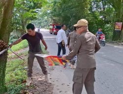 Satpol PP Kampar Bersama Bawaslu Lakukan Penertiban APK Menjelang Pemilihan